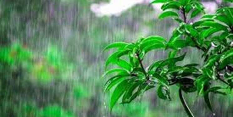 هشدار زرد هواشناسی؛ منتظر بارش های رگباری و رعد و برق باشید