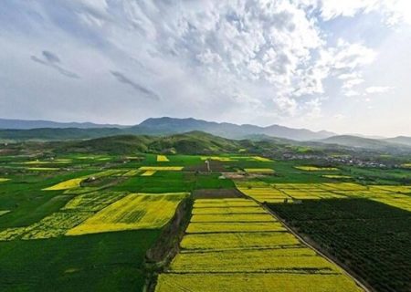 مستاجران اراضی ملی در استان بوشهر مشمول بخشودگی خسارت می‌شوند