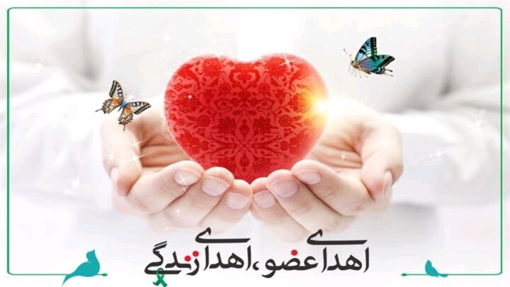 پرستار بوشهری ناجی چند بیمار نیازمند به عضو شد