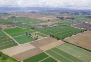مالکیت ۳۷۳ هزار هکتار زمین کشاورزی در بوشهر تثبت شد