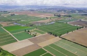 ۱۷۱ هزار هکتار اراضی کشاورزی بوشهر دارای سند تک برگ شدند