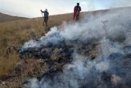 آتش‌سوزی در ارتفاعات دشتستان مهار شد