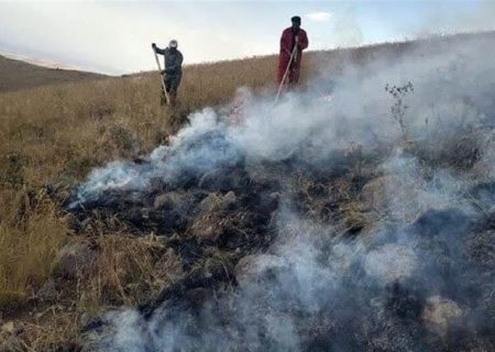 آتش سوزی گسترده مراتع شهرستان جم بوشهر مهار شد