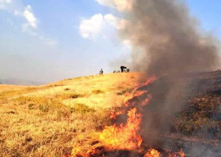 ۳۰۰ هکتار از مراتع شهرستان جم در آتش سوخت