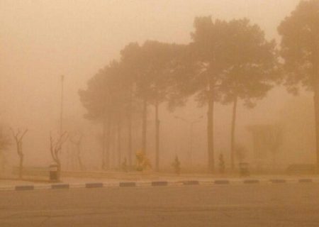 وزش باد و نفوذ گردوغبار در استان بوشهر