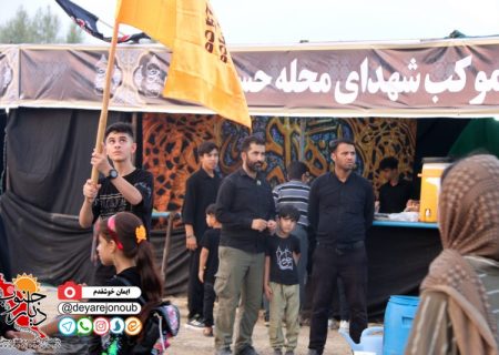 تدارک ۲۳۰ موکب بوشهری برای خدمت‌رسانی به زائران اربعین