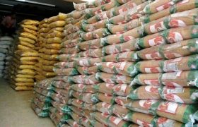 کشف ۴۰ تن برنج احتکاری در دشتستان