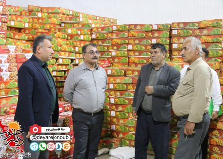 صنایع بسته‌بندی و فرآوری خرما در استان بوشهر حمایت می‌شوند