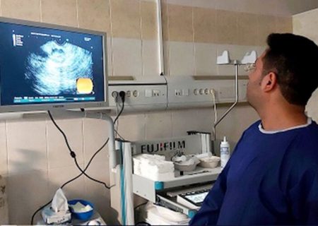 اولین نمونه‌برداری توده پانکراس در استان بوشهر انجام شد
