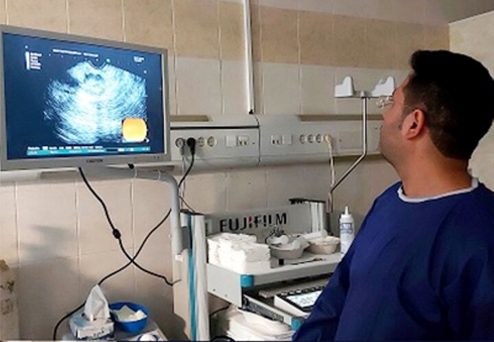 اولین نمونه‌برداری توده پانکراس در استان بوشهر انجام شد
