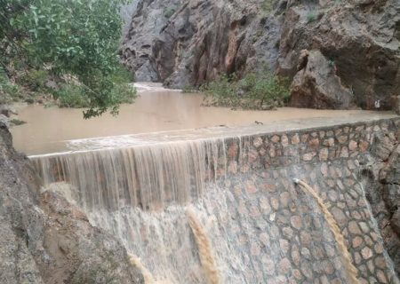 ۲۷۶ حوضه آبخیز در استان بوشهر شناسایی شد