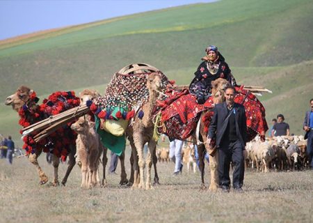 ورود عشایر به مراتع استان بوشهر آغاز شد