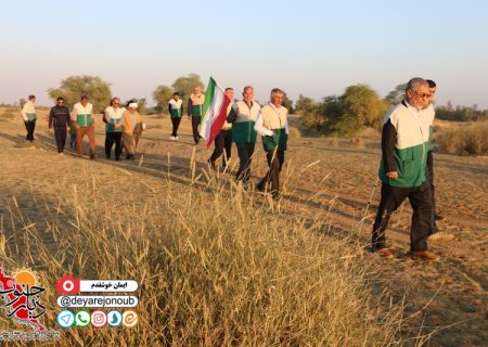 پیاده‌روی خادمیاران رضوی در دشتستان برگزار شد