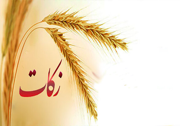 پرداخت زکات در استان بوشهر ۴۸ درصد افزایش یافت