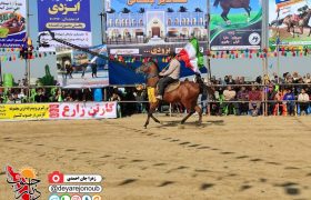 فستیوال بزرگ اسبان اصیل ایرانی در آب پخش