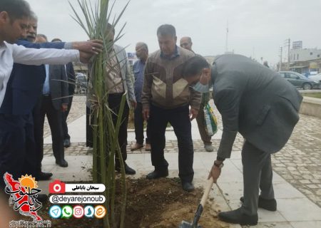 مراسم روز درختکاری در برازجان برگزار شد