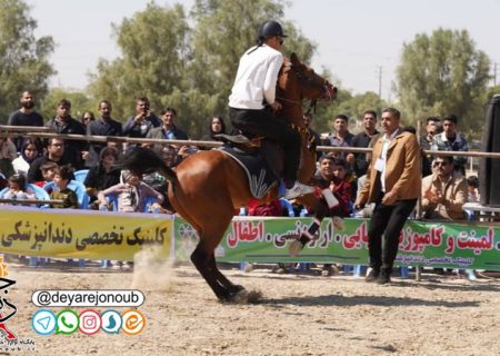 همایش بزرگ اسبان اصیل ایرانی در دشتستان برگزار شد
