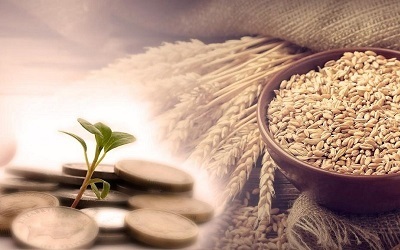 ۳۶۲۰ پایگاه برای دریافت زکات فطریه در استان بوشهر پیش بینی شد