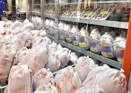 ۱۰۰ تن مرغ منجمد در استان بوشهر توزیع می شود