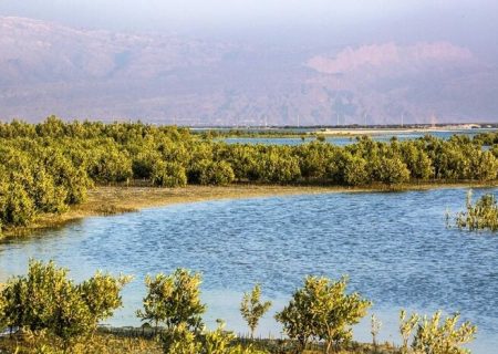 ۸ هکتار از اراضی پارک ملی نایبند رفع تصرف شد