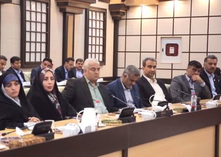 پرداخت ۲۴۱۲۰ میلیارد ریال تسهیلات بهسازی مسکن روستایی در استان بوشهر/ صدور ۶ هزار جلد سند مالکیت