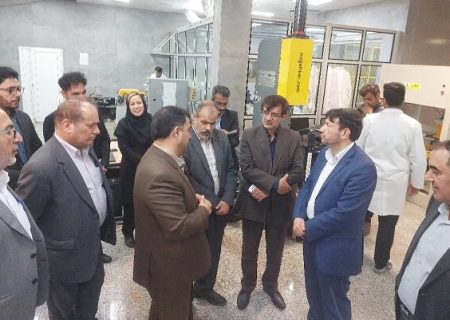هشدار رئیس کل دادگستری استان بوشهر در مورد قطع برق صنایع