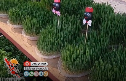 حال و هوای شهر برازجان در آستانه فرارسیدن عید نوروز+ فیلم