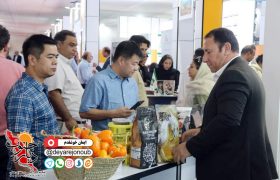 غرفه استان بوشهر در نمایشگاه اکسپو 2025