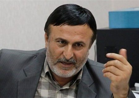 شوراها بازوان توانمند دولت در روستاها هستند
