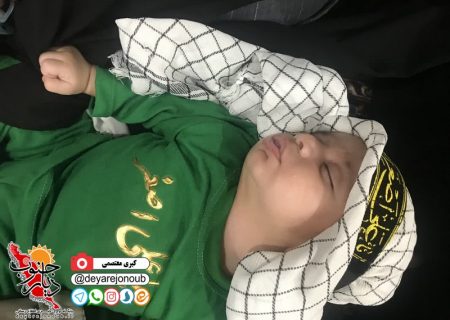 همایش شیرخوارگان حسینی در دالکی برگزار شد