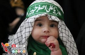 همایش شیرخوارگان حسینی در برازجان
