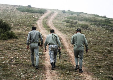 محیط‌زیست دشتی کمبود نیرو دارد