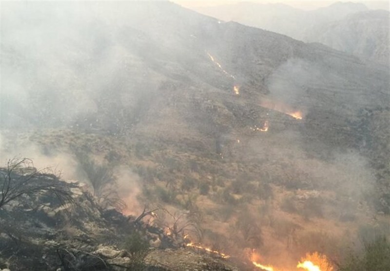 مهار حریق در گیسکان دشتستان همچنان ادامه دارد