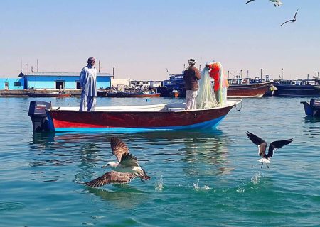 عربستان ۱۲ صیاد استان بوشهر را آزاد کرد