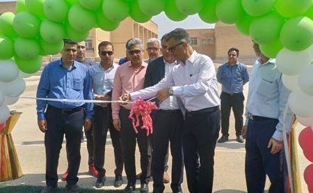 پنج زمین چمن مصنوعی دانش آموزی در دشتستان افتتاح شد