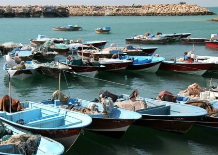 یکهزار و ۸۷۴ قایق بی هویت در استان بوشهر ساماندهی شدند