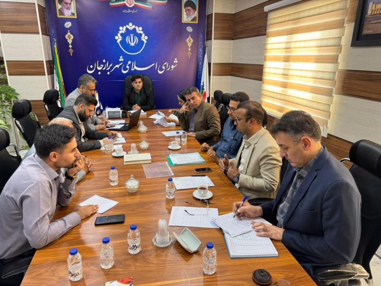 از احداث پارکینگ طبقاتی و پل زیتون تا تکمیل پروژه های نیمه تمام شهر برازجان