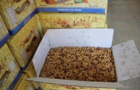 جریمه ۲۴ میلیارد ریالی برای قاچاقچی گردو در دشتستان