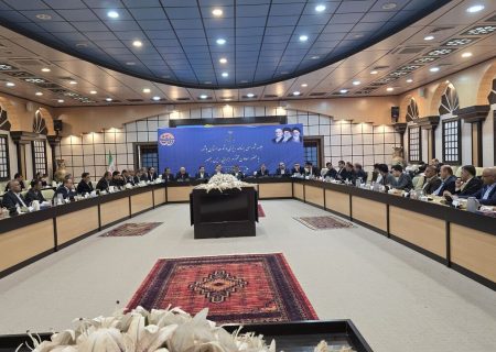 معاون رئیس جمهور: اصلاح قیمت بنزین ابتدا از خودروهای دولتی آغاز می شود