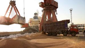 ۲ طرح تحقیقاتی علمی برای بهبود تولید گندم در بوشهر اجرا شد