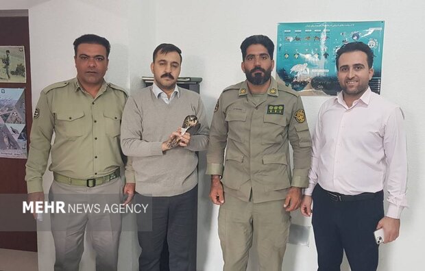 تحویل پرنده شکاری تحت حمایت به محیط زیست بوشهر