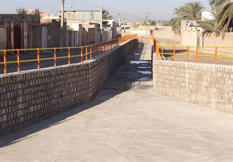 ۱۱ روستای شهرستان تنگستان ایمنسازی شد