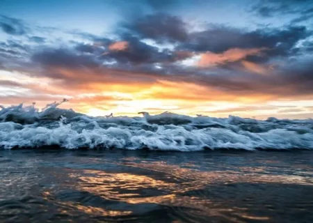 سواحل و فراساحل مرکزی و جنوبی استان بوشهر مواج است