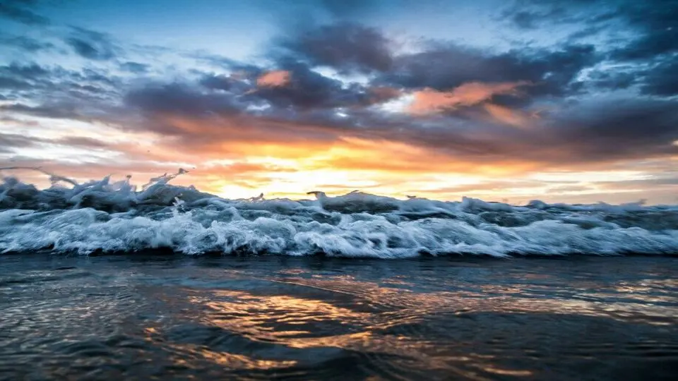 سواحل و فراساحل مرکزی و جنوبی استان بوشهر مواج است