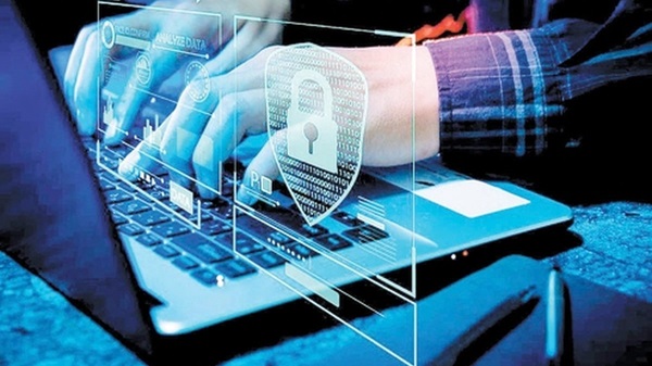 انهدام باند سازمان‌یافته فیشینگ در بوشهر