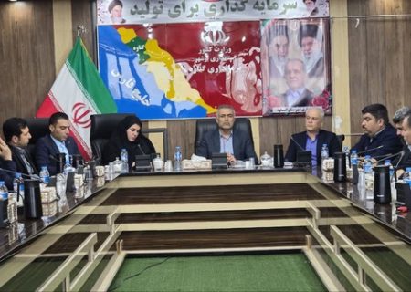 ۷۵ پروژه همزمان با دهه فجر در گناوه افتتاح و اجرا می‌شود