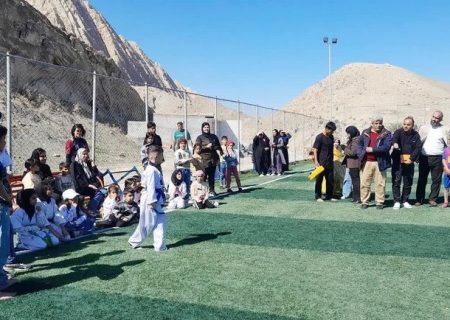 جشنواره استعدادیابی «نقش موج» در دشتستان برگزار شد