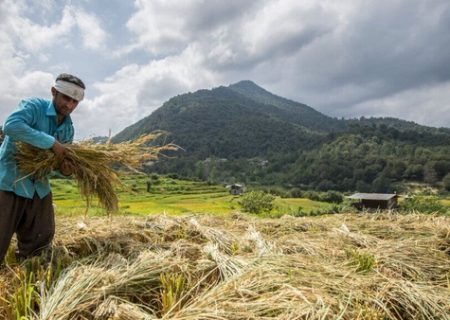 خبرجدید از متناسب سازی مستمری روستاییان