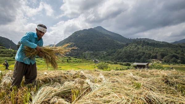 خبرجدید از متناسب سازی مستمری روستاییان