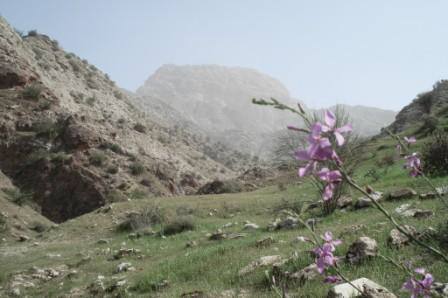 گیسکان بهشت ناشناخته در دل دشتستان؛ گرفتار در تنگنای کمبود زیرساخت‌ها